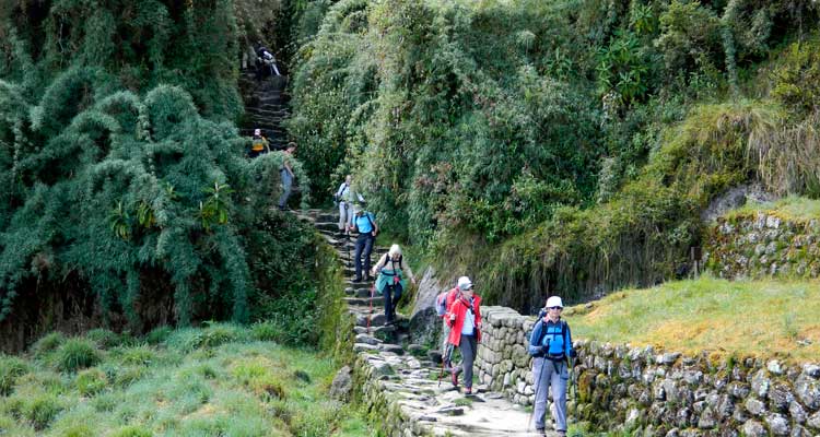 Inca Trail to Machu Picchu 2019