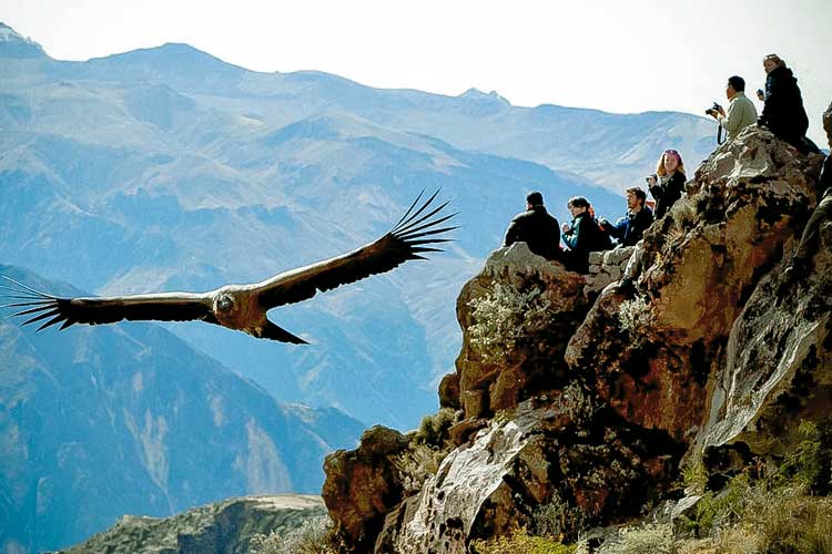 Top 6 Tourist destinations in Peru
