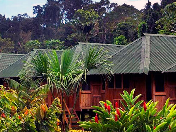 Amazon jungle trip