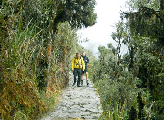 Best Inca Trail Tours