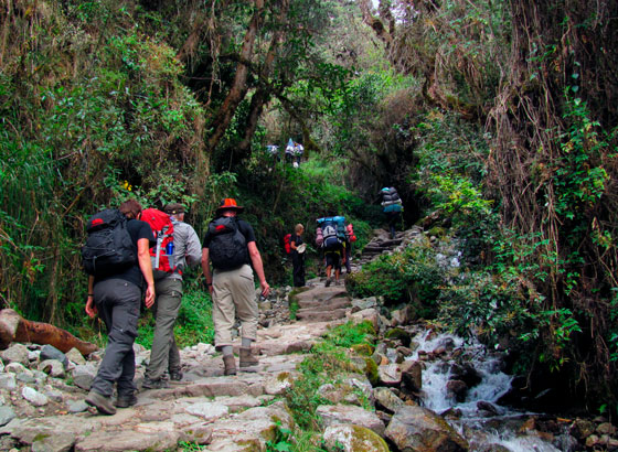 Bets Inka Trail to Machu Picchu 8 Days / 7 Nights