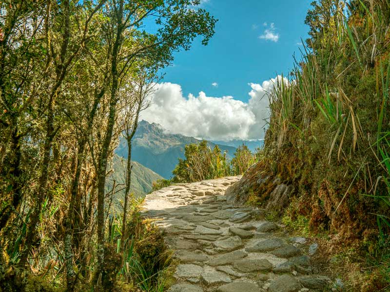 Inca-Trail-Treks-2