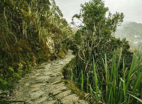 Inca Trail Booking