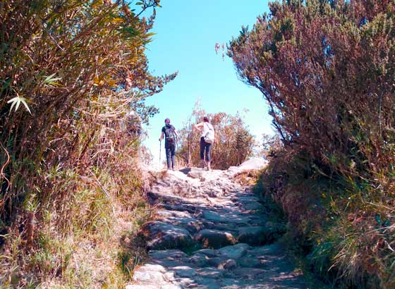 Inca Trail on 2020