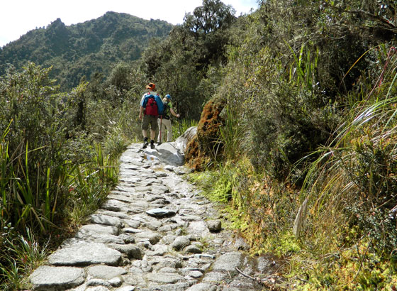 Trekking Inca Trail to Machu Picchu on 2021