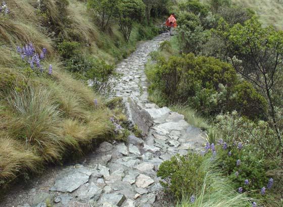 Booking the Inca Trail Trek with “Sunrise Peru Trek” for 2019
